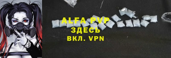 первитин Богданович
