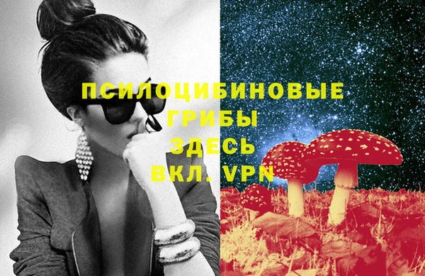 экстази Богородск